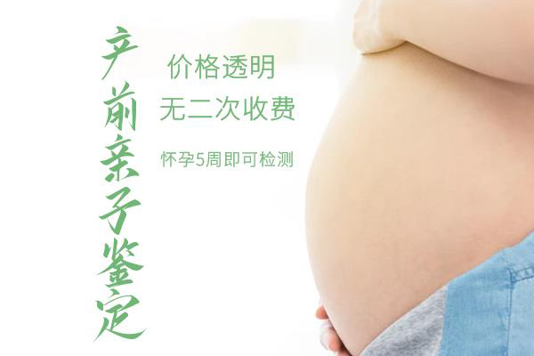 嘉兴怀孕几个月需要如何做胎儿亲子鉴定,嘉兴办理无创产前亲子鉴定价格
